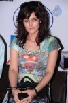 Tulip Joshi at Football Marathon Run 2012 Event - 16 of 42