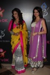 TV Celebs at Ek Thhi Naayka Launch - 63 of 67