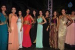 TV Celebs Walk The Ramp at Telly Calendar 2015 Launch - 35 of 98