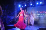 TV Celebs Walk The Ramp at Telly Calendar 2015 Launch - 75 of 98
