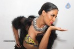 Veena Malik Hot Photoshoot - 20 of 32