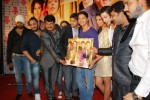 Will You Marry Me Bollywood Movie Audio Launch - 44 of 71