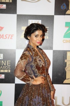 Zee Cine Awards 2016 Photos - 21 of 81