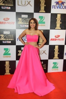 Zee Cine Awards 2016 Photos - 29 of 81