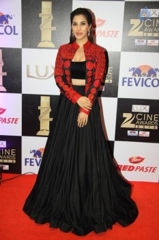 Zee Cine Awards 2016 Photos - 70 of 81