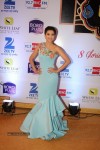 ZEE TV 8th Boroplus Gold Awards 2015 - 24 of 99