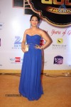 ZEE TV 8th Boroplus Gold Awards 2015 - 25 of 99