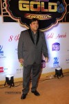 ZEE TV 8th Boroplus Gold Awards 2015 - 59 of 99