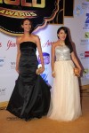 ZEE TV 8th Boroplus Gold Awards 2015 - 62 of 99