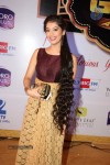 ZEE TV 8th Boroplus Gold Awards 2015 - 63 of 99