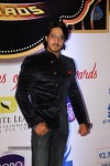 ZEE TV 8th Boroplus Gold Awards 2015 - 78 of 99