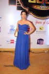 ZEE TV 8th Boroplus Gold Awards 2015 - 80 of 99
