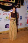 ZEE TV 8th Boroplus Gold Awards 2015 - 90 of 99