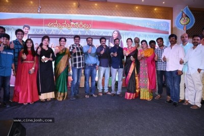 Ammammagarillu Success Meet