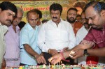 Nandamuri Balakrishna Bday 2014 Celebrations