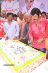Balakrishna Birthday Celebrations 