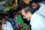 Bengal Tiger Movie Opening