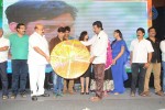 Brother of Bommali Movie Audio Launch 02
