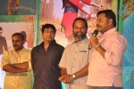 Celebs at Park Movie Audio Launch