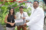Jalsa Rayudu Movie Opening