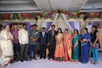 Kasi Viswanadam Son Marriage Reception Photos