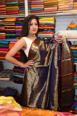 Lipsa Mishra Inaugurates Silk India Expo