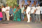 Minugurulu Audio Launch