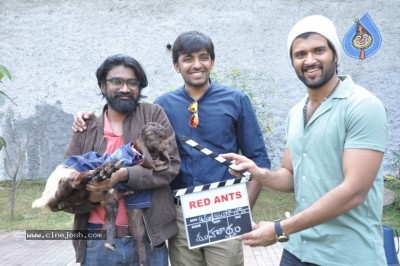 Mithai Movie Opening Photos