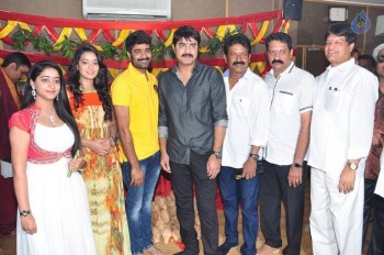 Mounam Movie Opening Photos