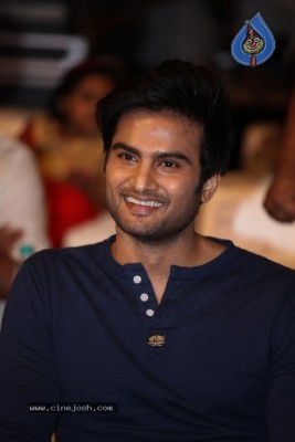 Ninu Veedani Needanu Nene Movie Pre Release Event 