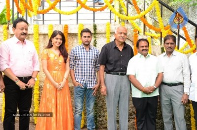 Nuvvakkada Nenikkada Movie Opening