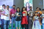 Panchami Audio Launch