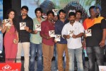 Pora Pove Audio Launch 03