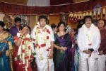 PRO Diamond Babu Son Wedding Reception