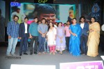 Rough Movie Audio Launch