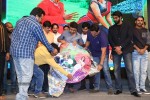 Rough Movie Audio Launch 03