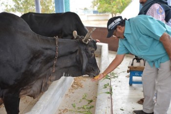 Srivalli Movie Working Photos