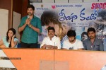 Teeyani Kalavo Movie Success Meet