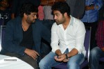 Temper Movie Success Meet 01