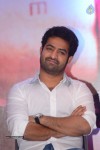 Temper Movie Success Meet 02