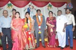 Y Vijaya Daughter Wedding Reception