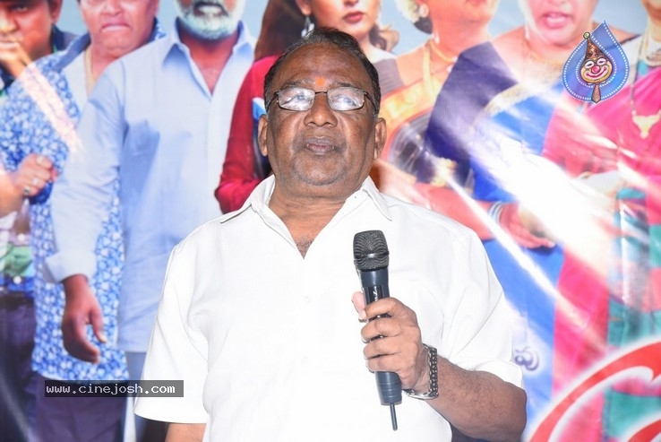 Annapurnamma Gari Manavadu Audio Launch Photos - 4 / 15 photos