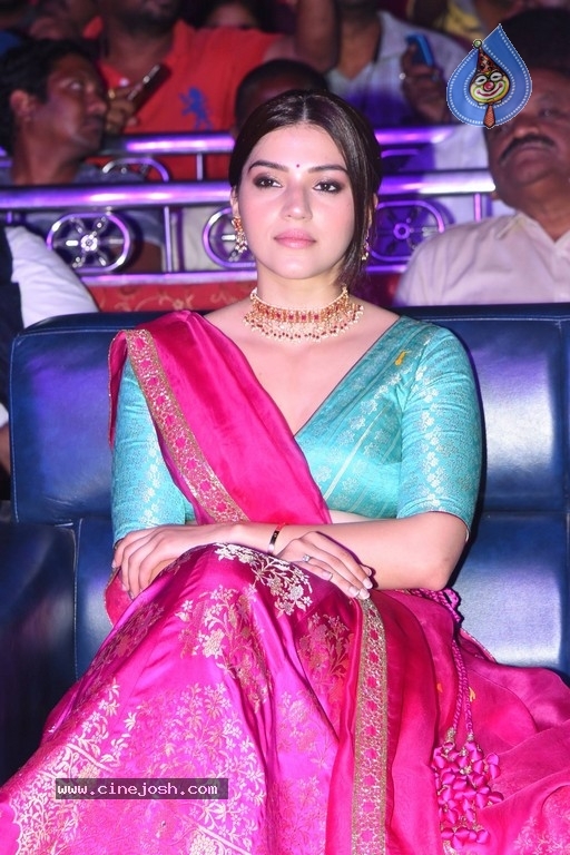 Aswathama Movie Audio Launch - 39 / 50 photos