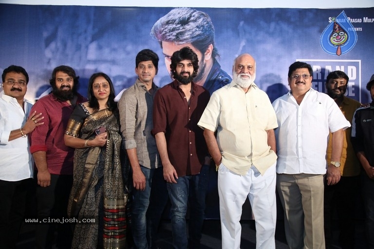 Aswathama Movie Press Meet - 18 / 21 photos