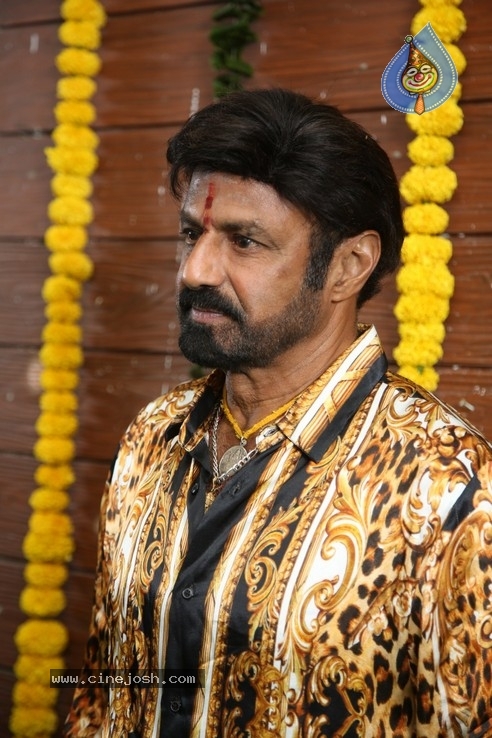 Balakrishna New Movie Opening - 3 / 53 photos