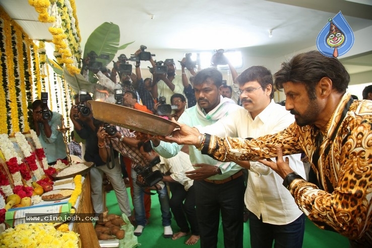 Balakrishna New Movie Opening - 16 / 53 photos