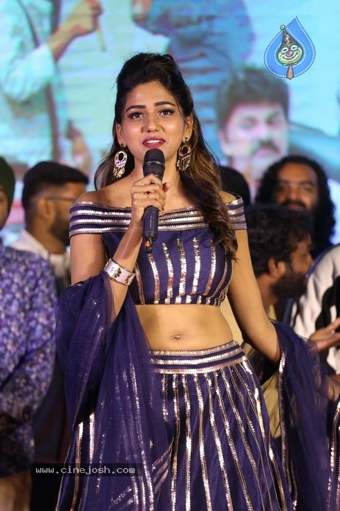 Bhagya Nagara Veedhullo Gammathu PreRelease Event - 11 / 84 photos