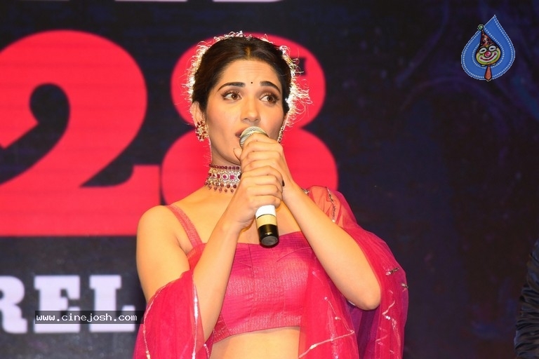 HIT Movie Grand Release Event at Vizag - 5 / 31 photos