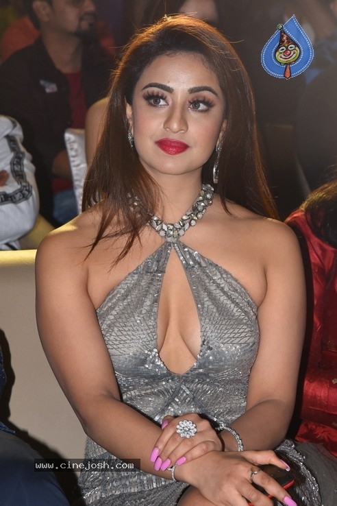 Ragala 24 Gantallo Movie Pre-Release Event - 57 / 84 photos