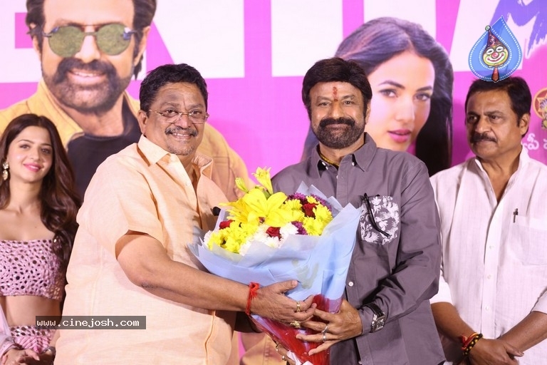 Ruler Movie Success Meet - 18 / 42 photos